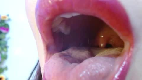 Snapshot of evolethmontenegros chatting on 15, 12, 2024 Evoleth online show from 15, 12, 2024