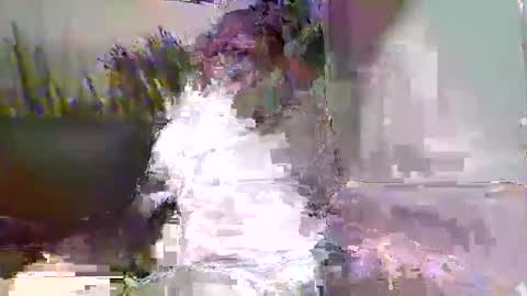 Snapshot of ewaldwillems99 chatting on 9, 2, 2026 Naaktloper online show from 9, 2, 2026