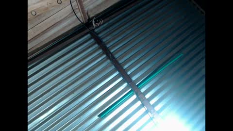 exxclusivo online show from 30, 3, 2026