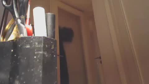 EZCODA online show from 26, 1, 2025