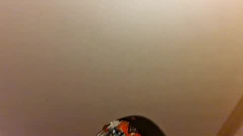 Ez Rider online show from 17, 7, 2026