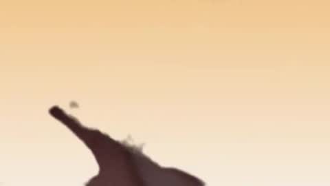 Snapshot of fabinou32 chatting on 22, 11, 2025 fabinou32 online show from 22, 11, 2025