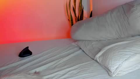 -  A N D E R online show from 3, 11, 2025