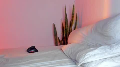 -  A N D E R online show from 9, 11, 2025