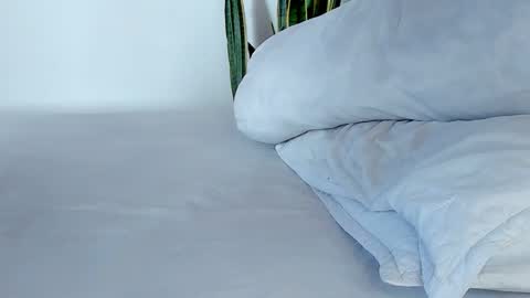 -  A N D E R online show from 10, 11, 2025