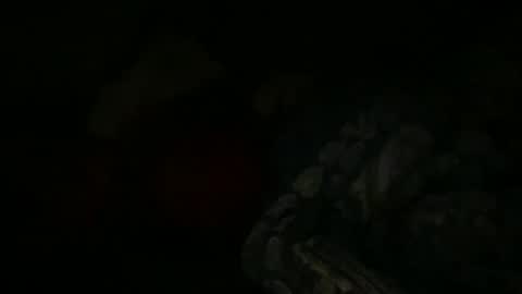 FABX online show from 6, 1, 2025