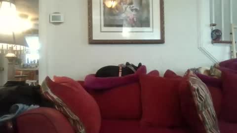 fairmount31 online show from 7, 11, 2025