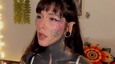 Fairy online show from 6, 6, 2026