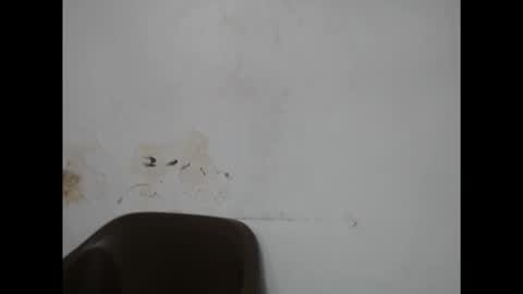 Snapshot of fairyslut9 chatting on 2, 3, 2026 fairyslut9 online show from 2, 3, 2026