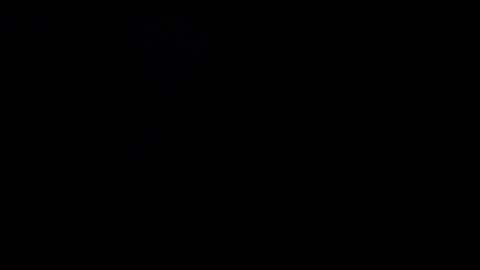 FallGays online show from 26, 12, 2024