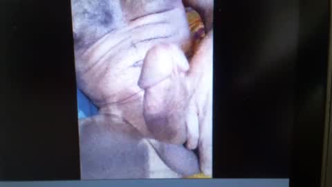 Snapshot of falushp chatting on 23, 1, 2025 falushp online show from 23, 1, 2025