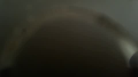 Snapshot of falushp chatting on 26, 2, 2025 falushp online show from 26, 2, 2025