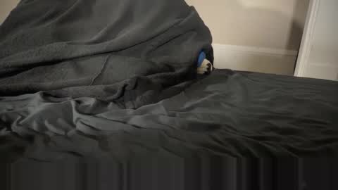 Snapshot of fangofox chatting on 12, 1, 2026 Fango online show from 12, 1, 2026