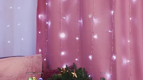 Kim online show from 27, 12, 2024