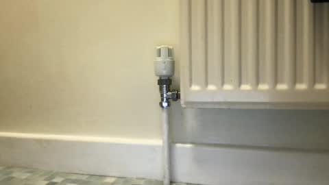 Alex online show from 3, 12, 2024