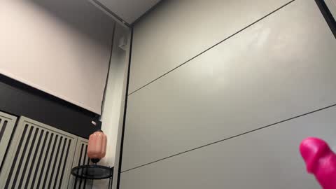 Gattino online show from 3, 12, 2024