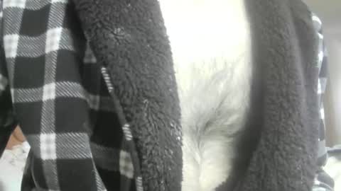 feardubh online show from 16, 2, 2026