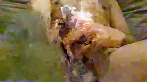 FeaturedCam online show from 2, 6, 2026