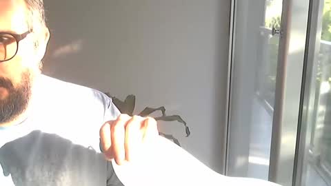 fedeGLOBOS online show from 13, 2, 2026