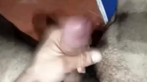 fedexxxxxxxxxxxxxx online show from 29, 10, 2025