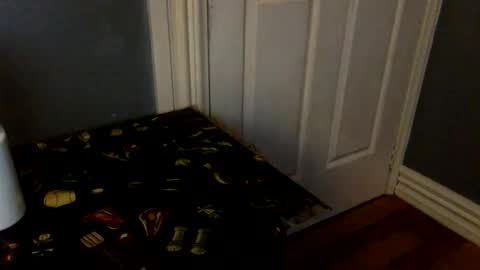 HairyBrownGuy online show from 8, 2, 2026