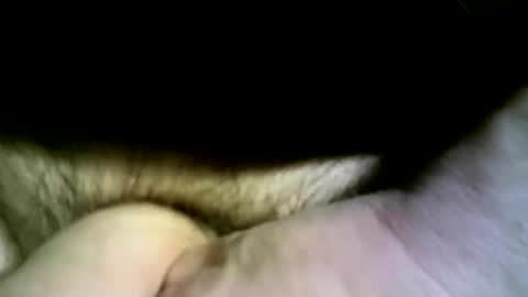 Snapshot of felicaste chatting on 13, 4, 2026 felicaste online show from 13, 4, 2026