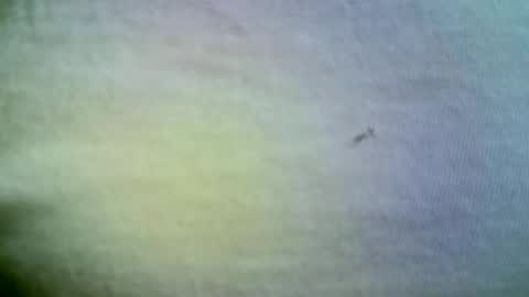 Snapshot of felicaste chatting on 21, 4, 2026 felicaste online show from 21, 4, 2026