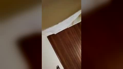 felipebh385495 online show from 29, 6, 2026