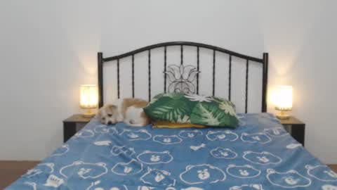 kaylee online show from 11, 2, 2025