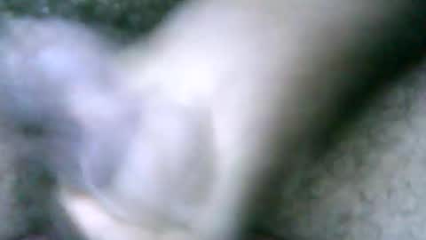 fer_2197 online show from 18, 2, 2025