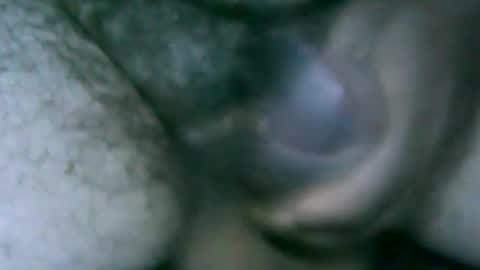 fer_2197 online show from 6, 10, 2025