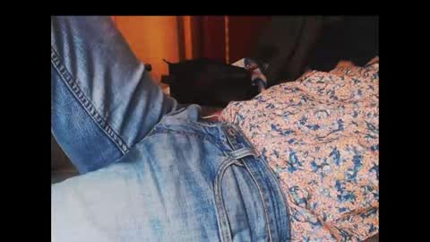 ferra_testarossa online show from 11, 9, 2025