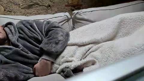 Fid online show from 20, 1, 2025