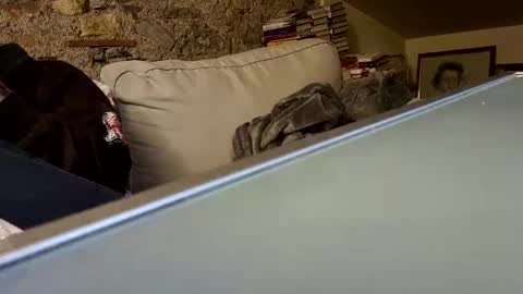 Fid online show from 28, 1, 2025