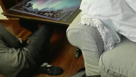 Fid online show from 5, 11, 2025