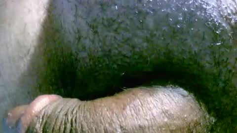 Snapshot of filedbc2024 chatting on 9, 3, 2025 filedbc2024 online show from 9, 3, 2025