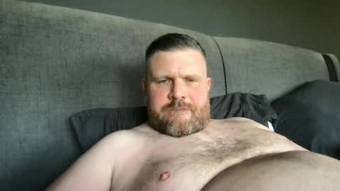 fin bear dom online show from 25, 4, 2026
