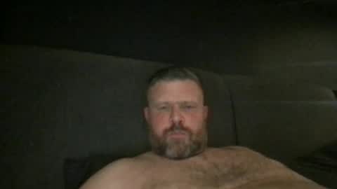 fin bear dom online show from 4, 5, 2026