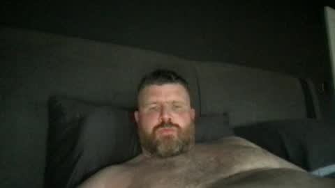 fin bear dom online show from 22, 6, 2026