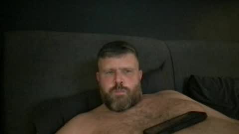 fin bear dom online show from 7, 7, 2026