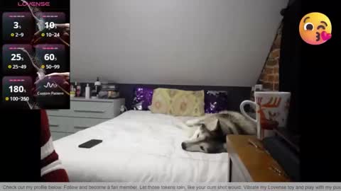 Snapshot of fionna_fineas chatting on 30, 3, 2026 Fionna online show from 30, 3, 2026