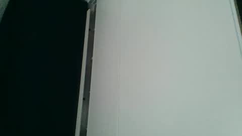 Snapshot of fittandfeed chatting on 1, 11, 2025 fittandfeed online show from 1, 11, 2025