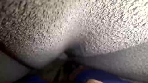 flaash_99 online show from 2, 3, 2026