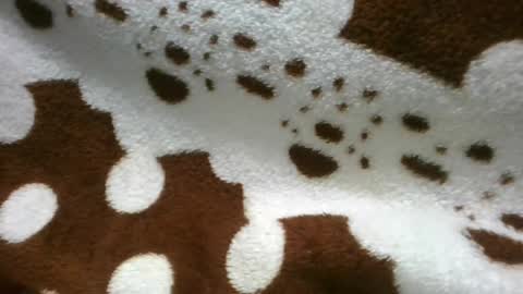 Snapshot of flora48230522373 chatting on 21, 6, 2026 flora48230522373 online show from 21, 6, 2026