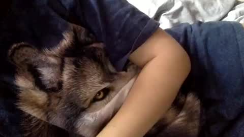 Snapshot of floraexploration chatting on 22, 12, 2024 floraexploration online show from 22, 12, 2024