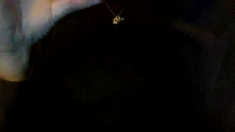 Snapshot of floraexploration chatting on 23, 12, 2024 floraexploration online show from 23, 12, 2024