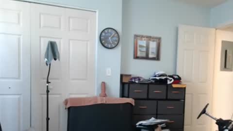 FloridaBear online show from 21, 6, 2026