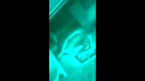 Snapshot of floridaloverboy88 chatting on 29, 9, 2025 floridaloverboy88 online show from 29, 9, 2025