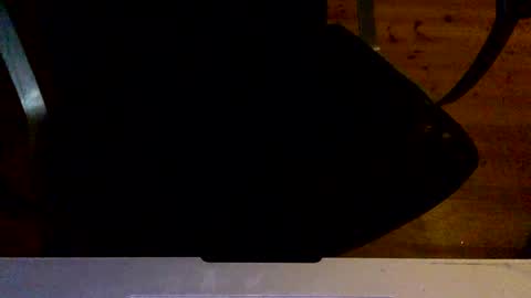 Snapshot of flowmover chatting on 2, 12, 2024 flowmover online show from 2, 12, 2024