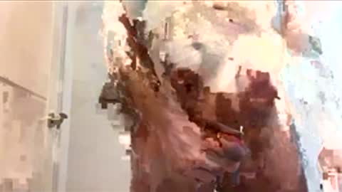 Snapshot of floxc chatting on 15, 12, 2025 floxc online show from 15, 12, 2025